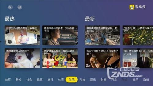 99视频精品免视看,畅享无广告观影新体验